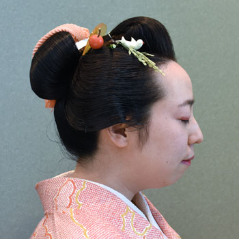 ���{���}�Ӂ@231 �z�V�_