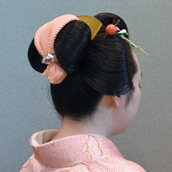 ���{���}�Ӂ@231 �z�V�_