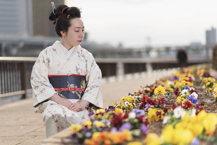 ���{���}�� 232 ���c