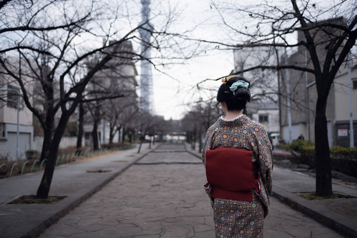 ���{���}�Ӂ@235 ����  photo by �����̃J�����_�[