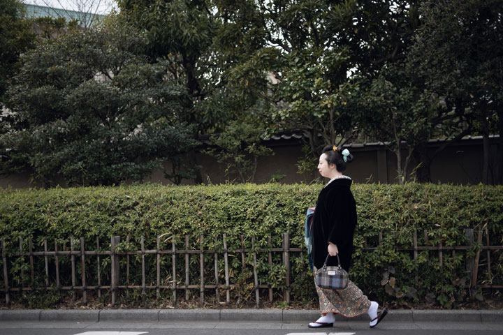 ���{���}�Ӂ@235 ����  photo by �����̃J�����_�[