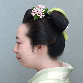 ���{���}�Ӂ@237 �z�V�_