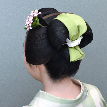 ���{���}�Ӂ@237 �z�V�_