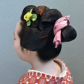 ���{���}�� 238 ����