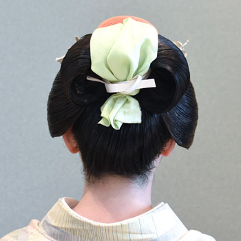 ���{���}�Ӂ@239 �z�V�_