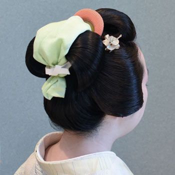 ���{���}�Ӂ@239 �z�V�_