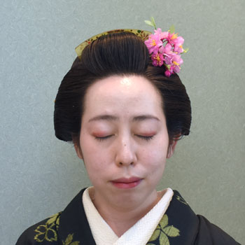 ���{���}�� 240 ���蓇�c