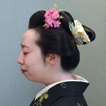 ���{���}�� 240 ���蓇�c