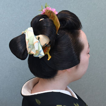 ���{���}�� 240 ���蓇�c