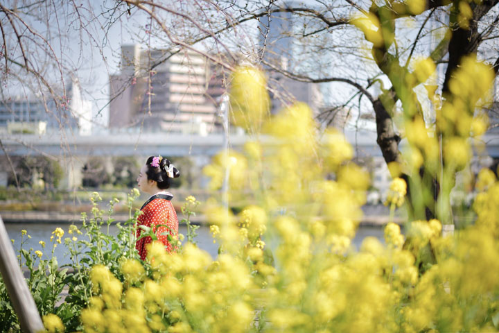 ���{���}�Ӂ@240 ���蓇�c  photo by �����̃J�����_�[