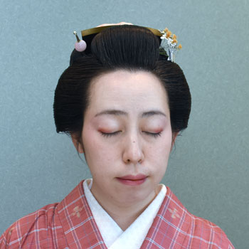 ���{���}�Ӂ@241 �z�V�_