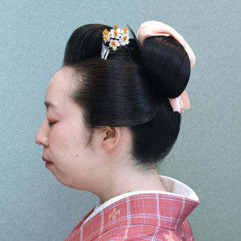 ���{���}�Ӂ@241 �z�V�_