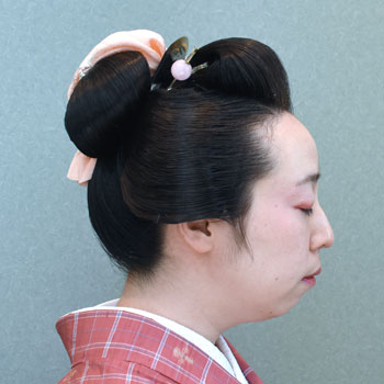 ���{���}�Ӂ@241 �z�V�_