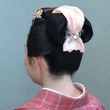 ���{���}�Ӂ@241 �z�V�_