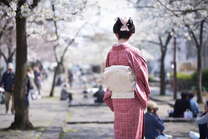 ���{���}�Ӂ@241 �z�V�_  photo by �����̃J�����_�[