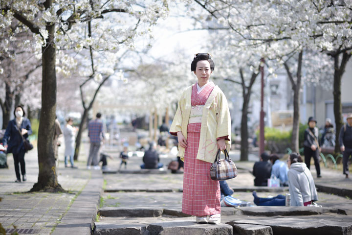 ���{���}�Ӂ@241 �z�V�_  photo by �����̃J�����_�[