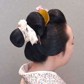 ���{���}�� 244 ����