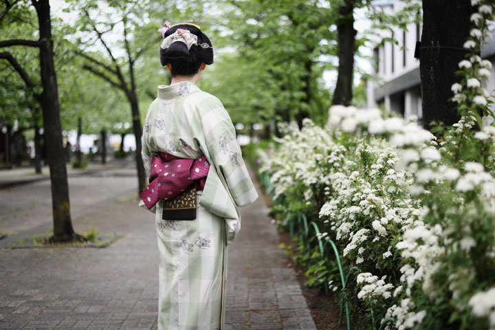 ���{���}�Ӂ@244 ����  photo by �����̃J�����_�[