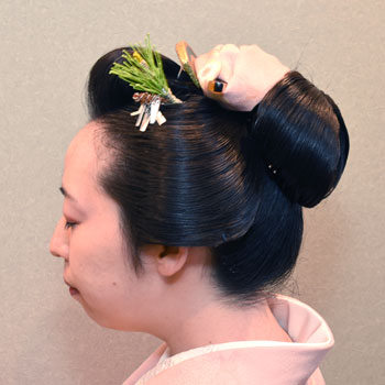 ���{���}�Ӂ@245 �ߘa�