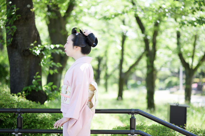 ���{���}�Ӂ@245 �ߘa�  photo by �����̃J�����_�[