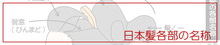 ���{���e���̖���